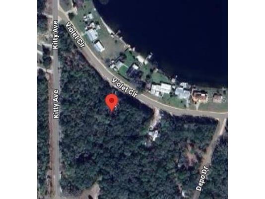 Violet Circle Interlachen FL 32148 OM696582 image2