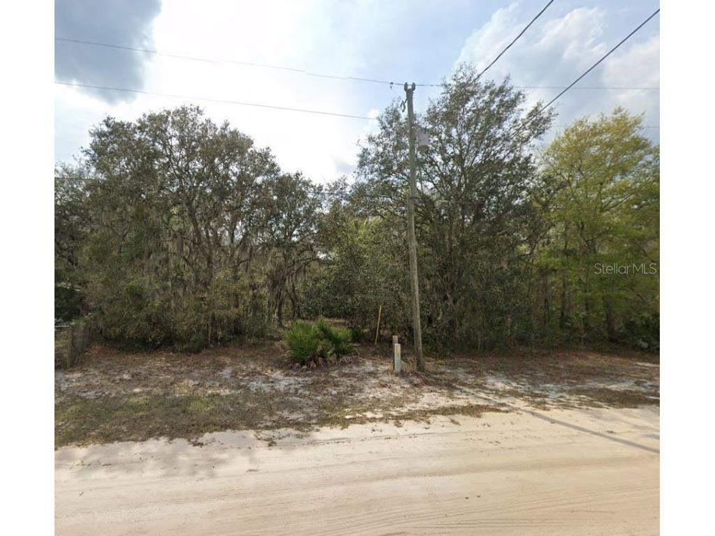 Violet Circle Interlachen FL 32148 OM696582 image3