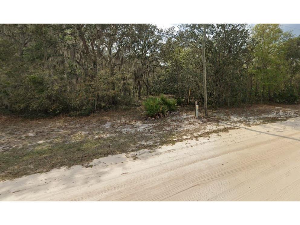 Violet Circle Interlachen FL 32148 OM696582 image4