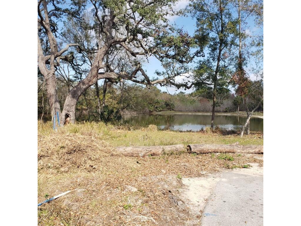 Virginia Avenue Tarpon Springs FL 34689 TB8362535 image8