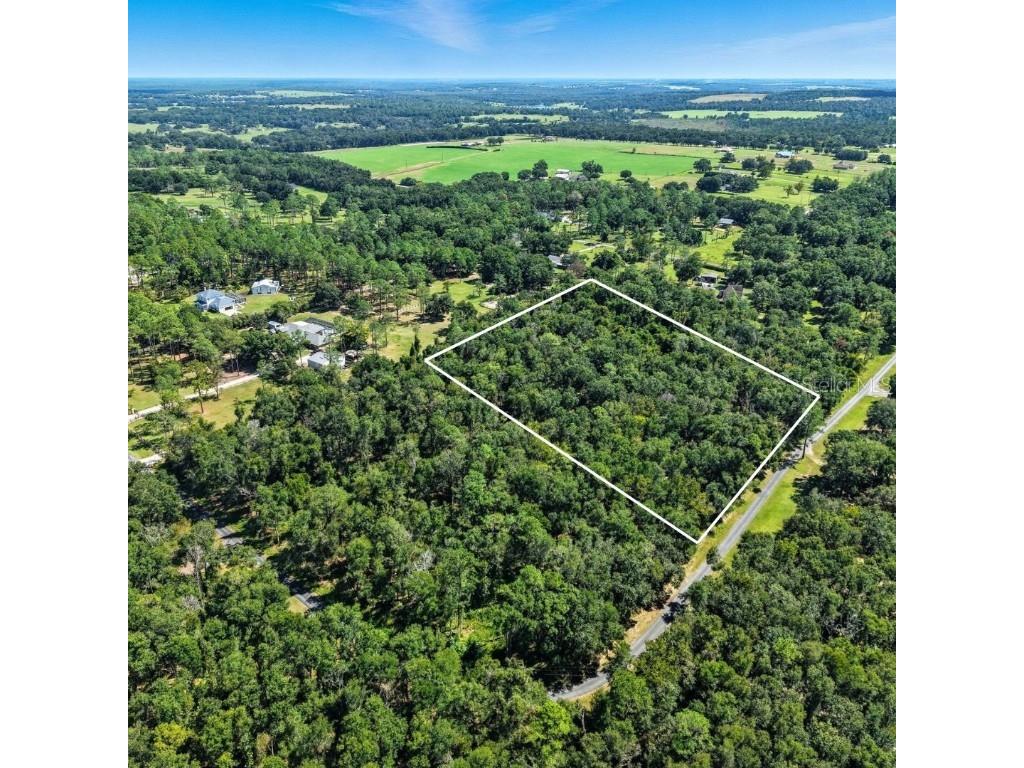 Virginia Lee Circle Brooksville FL 34602 TB8442570 image1