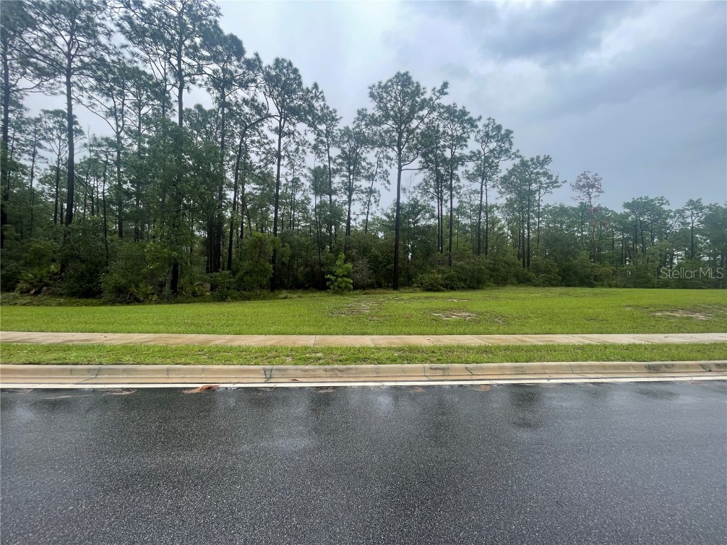 Virginia (Paper) Avenue Deltona FL 32738 O6367495 image2