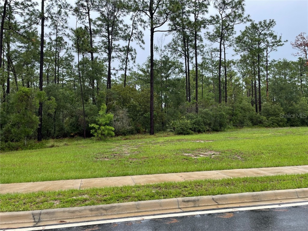 Virginia (Paper) Avenue Deltona FL 32738 O6367495 image3