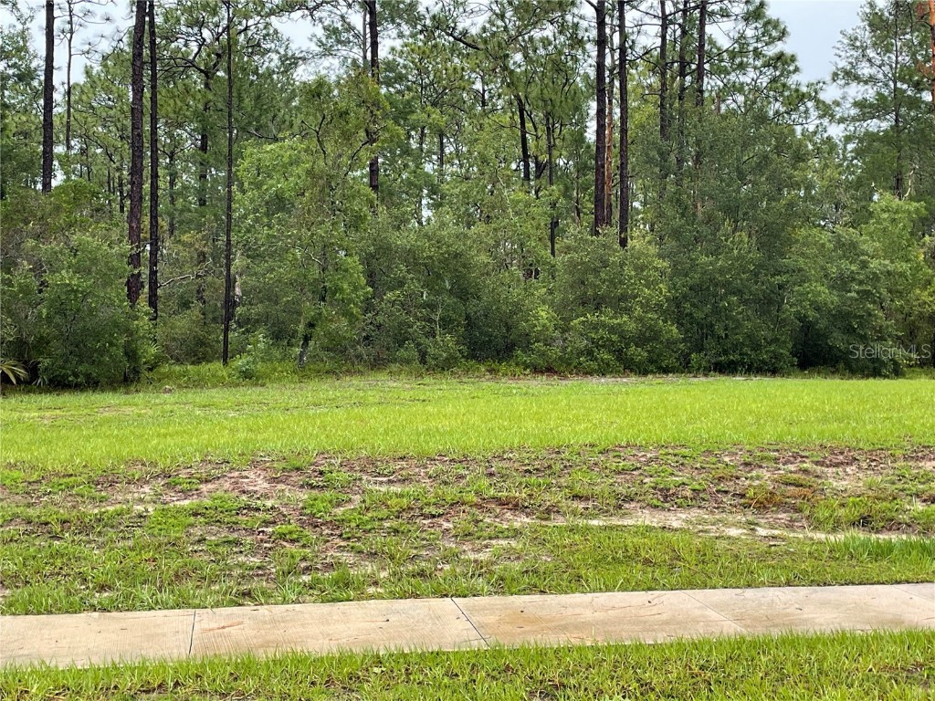 Virginia (Paper) Avenue Deltona FL 32738 O6367495 image4