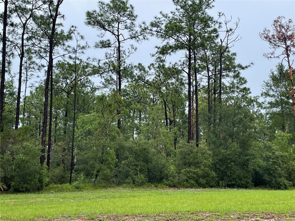 Virginia (Paper) Avenue Deltona FL 32738 O6367495 image5