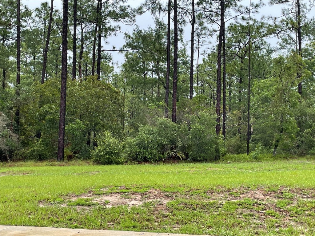 Virginia (Paper) Avenue Deltona FL 32738 O6367495 image6
