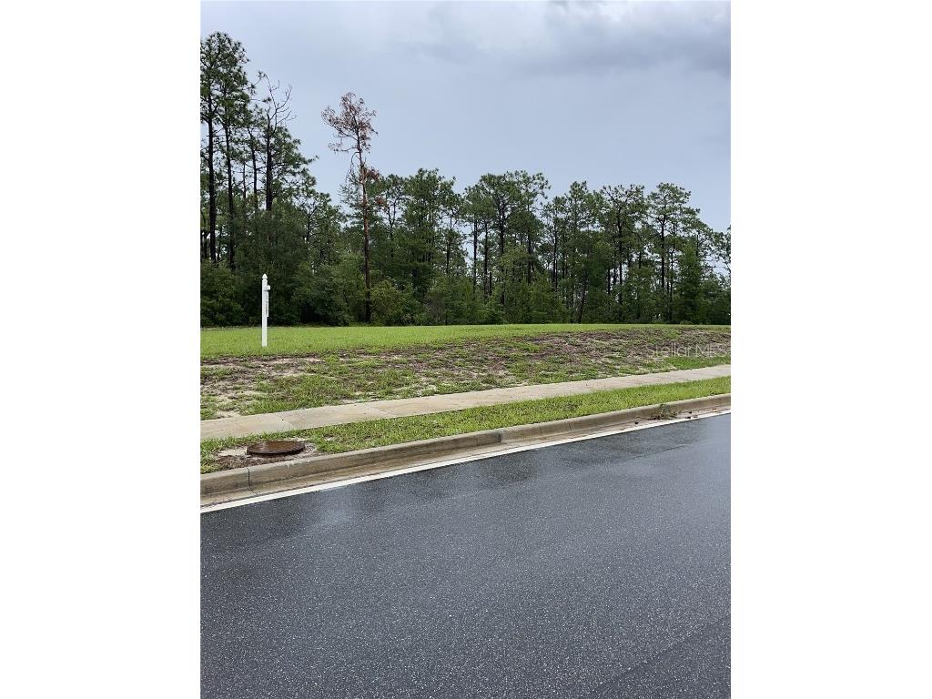 Virginia (Paper) Avenue Deltona FL 32738 O6367495 image7