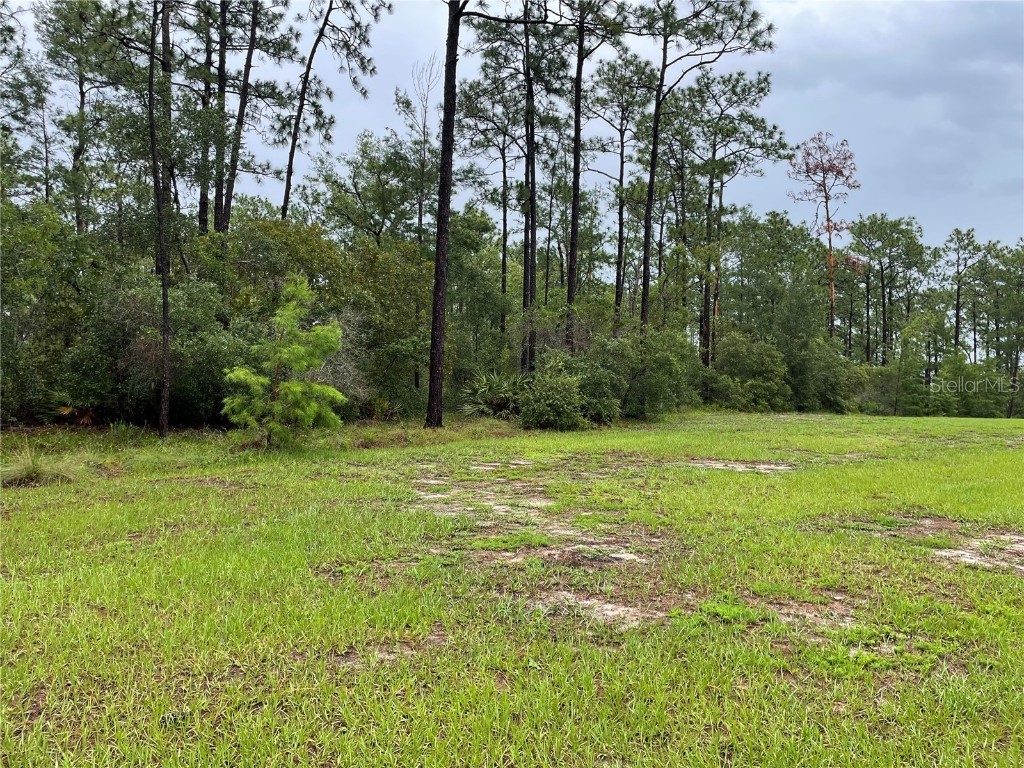 Virginia (Paper) Avenue Deltona FL 32738 O6367495 image8