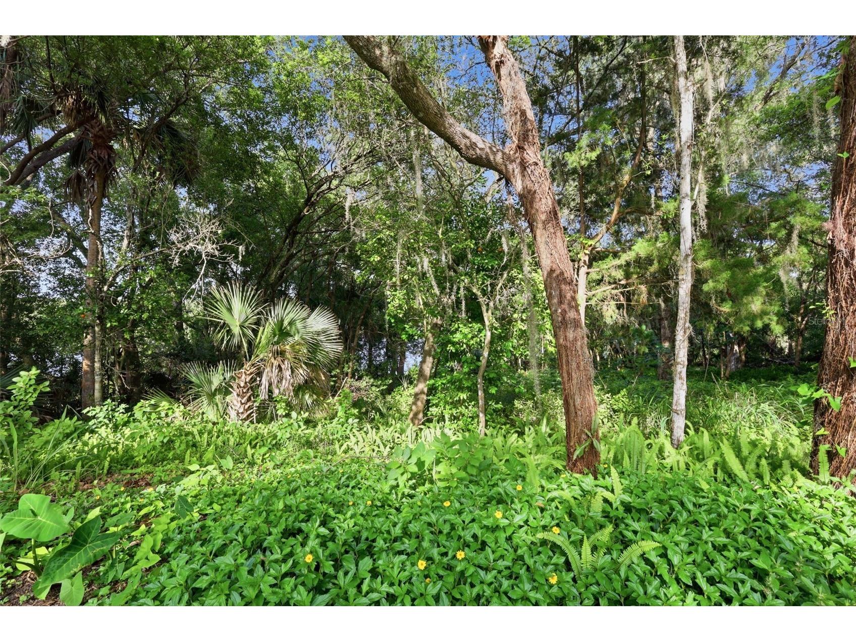 Vista Street Lake Helen FL 32744 O6414776 image10