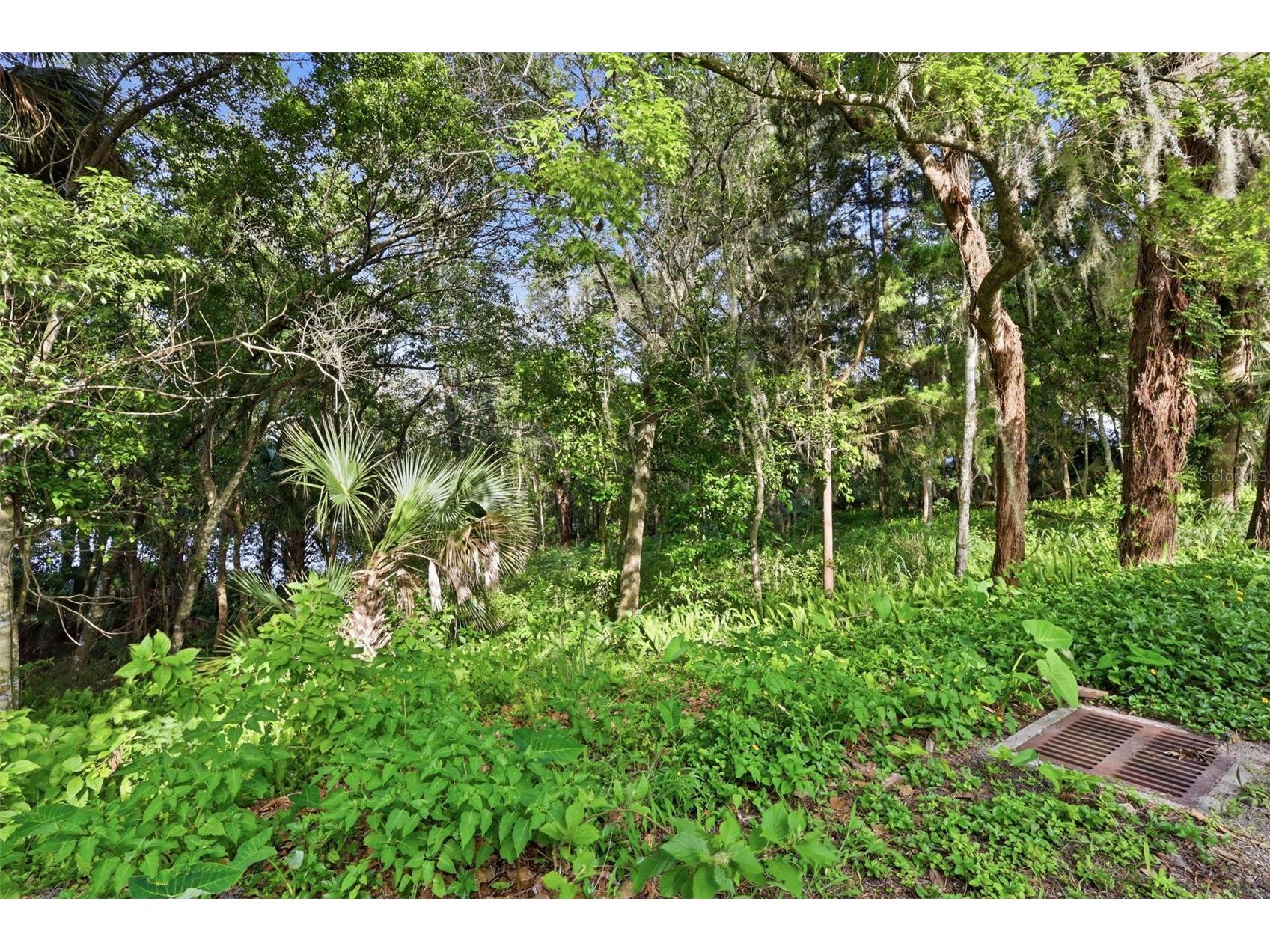 Vista Street Lake Helen FL 32744 O6414776 image11