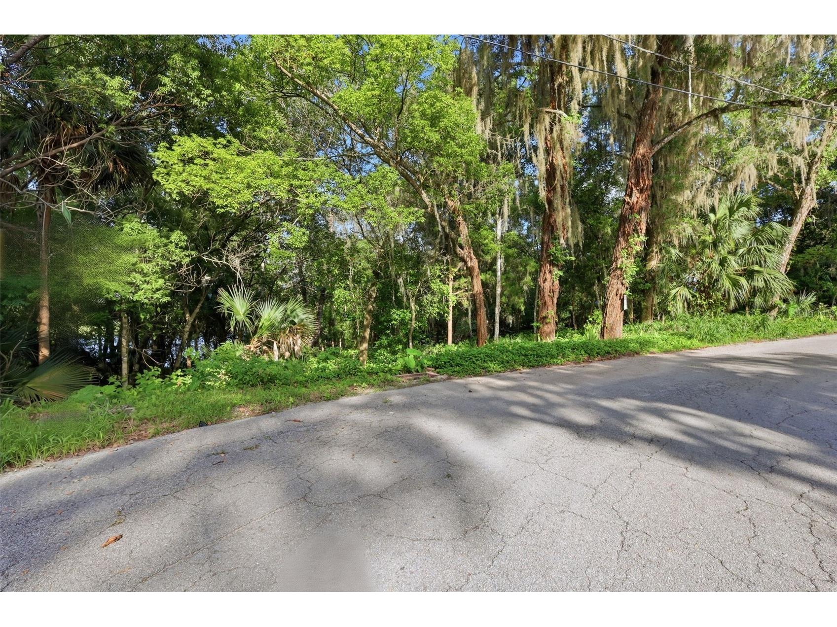Vista Street Lake Helen FL 32744 O6414776 image12
