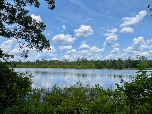 Vista Street Lake Helen FL 32744 O6414776 image3