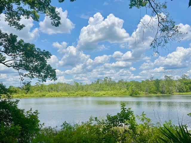 Vista Street Lake Helen FL 32744 O6414776 image4