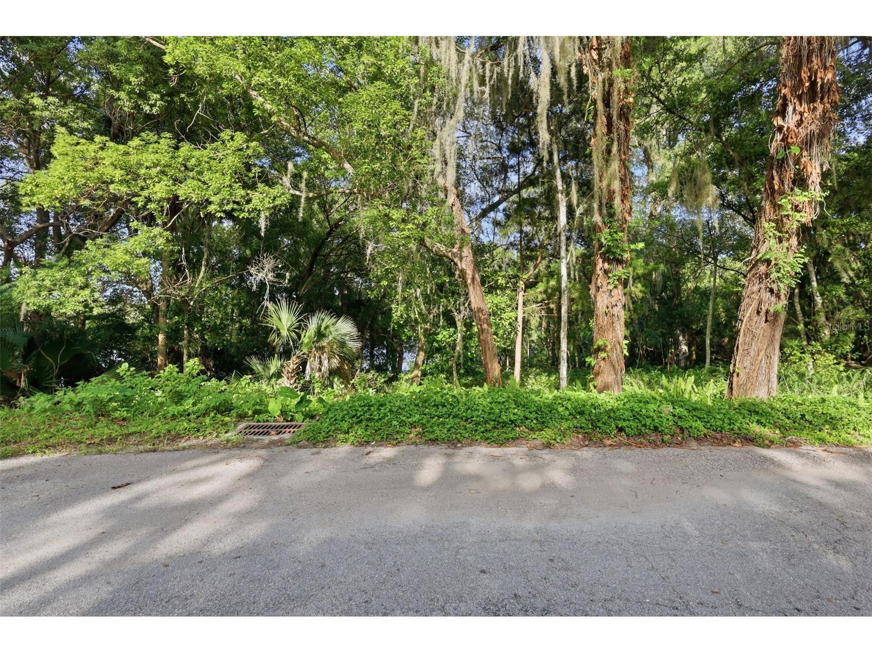 Vista Street Lake Helen FL 32744 O6414776 image9