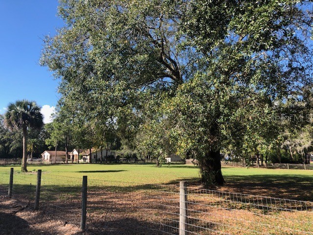 Vivian Bass Odessa FL 33556 U8147583 image1