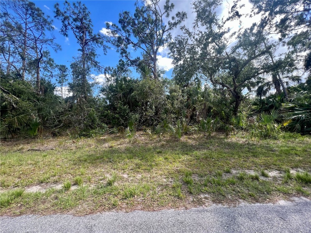 Vizza Lane North Port FL 34286 C7510876 image1