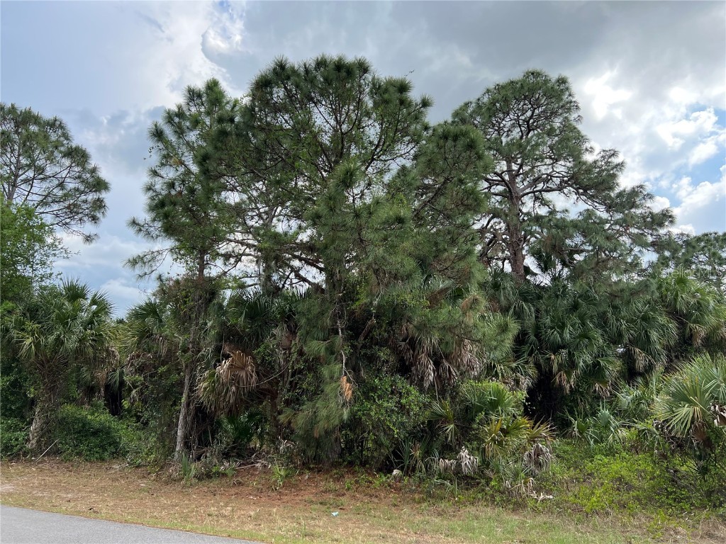 Vogler Lane North Port FL 34286 C7458329 image12