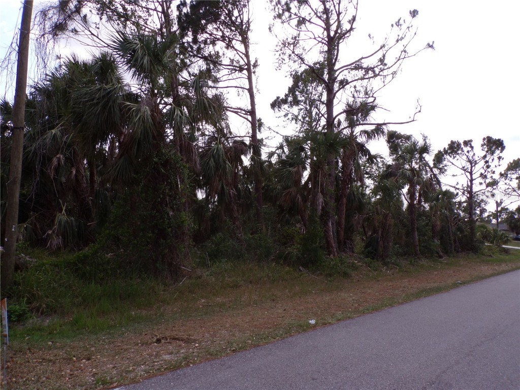 Vogler Lane North Port FL 34286 C7458329 image19