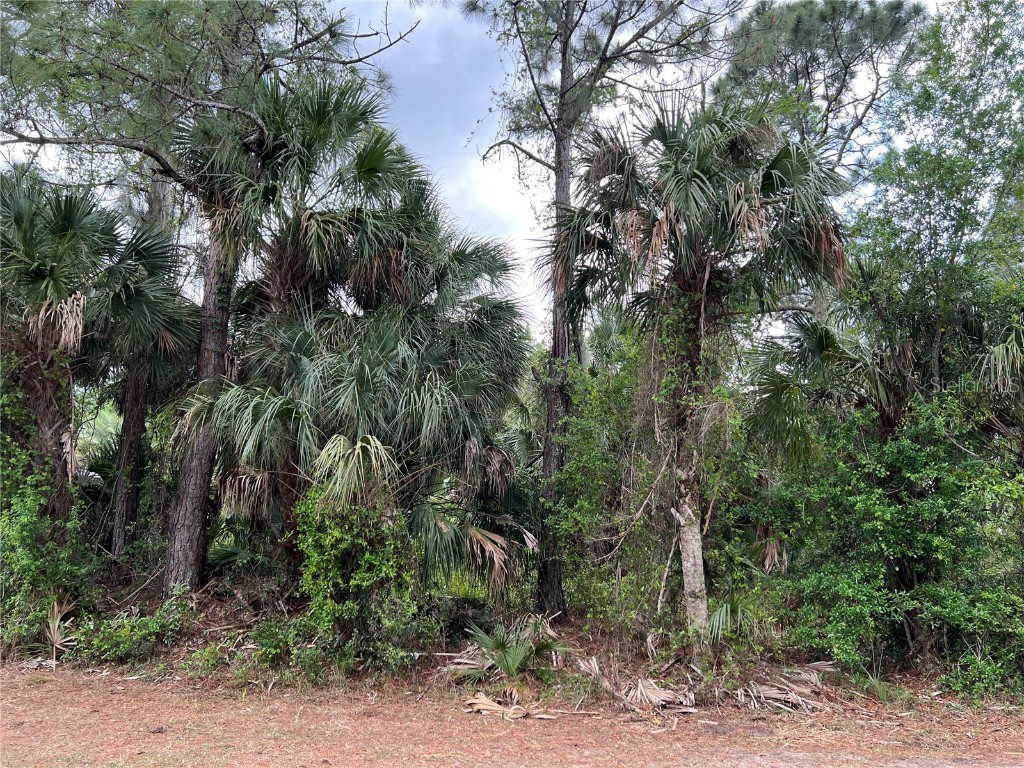 Vogler Lane North Port FL 34286 C7458329 image4