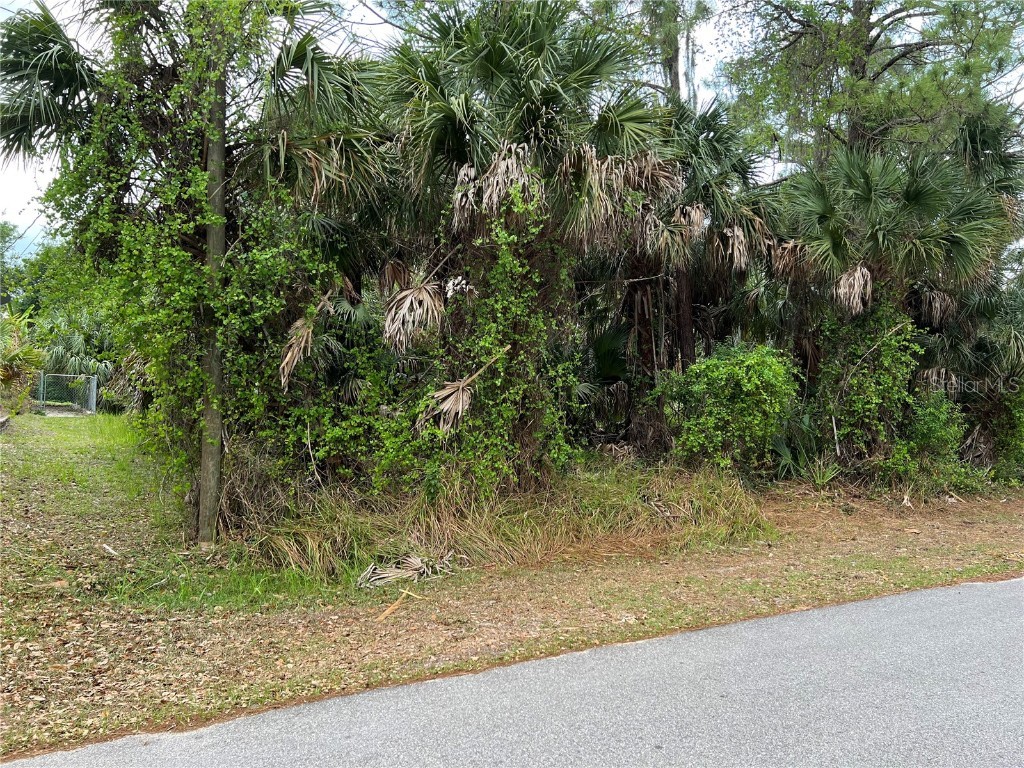 Vogler Lane North Port FL 34286 C7458329 image6