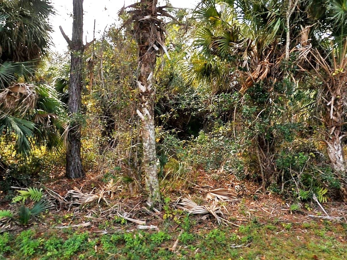 Vogler Lane North Port FL 34286 C7526571 image1