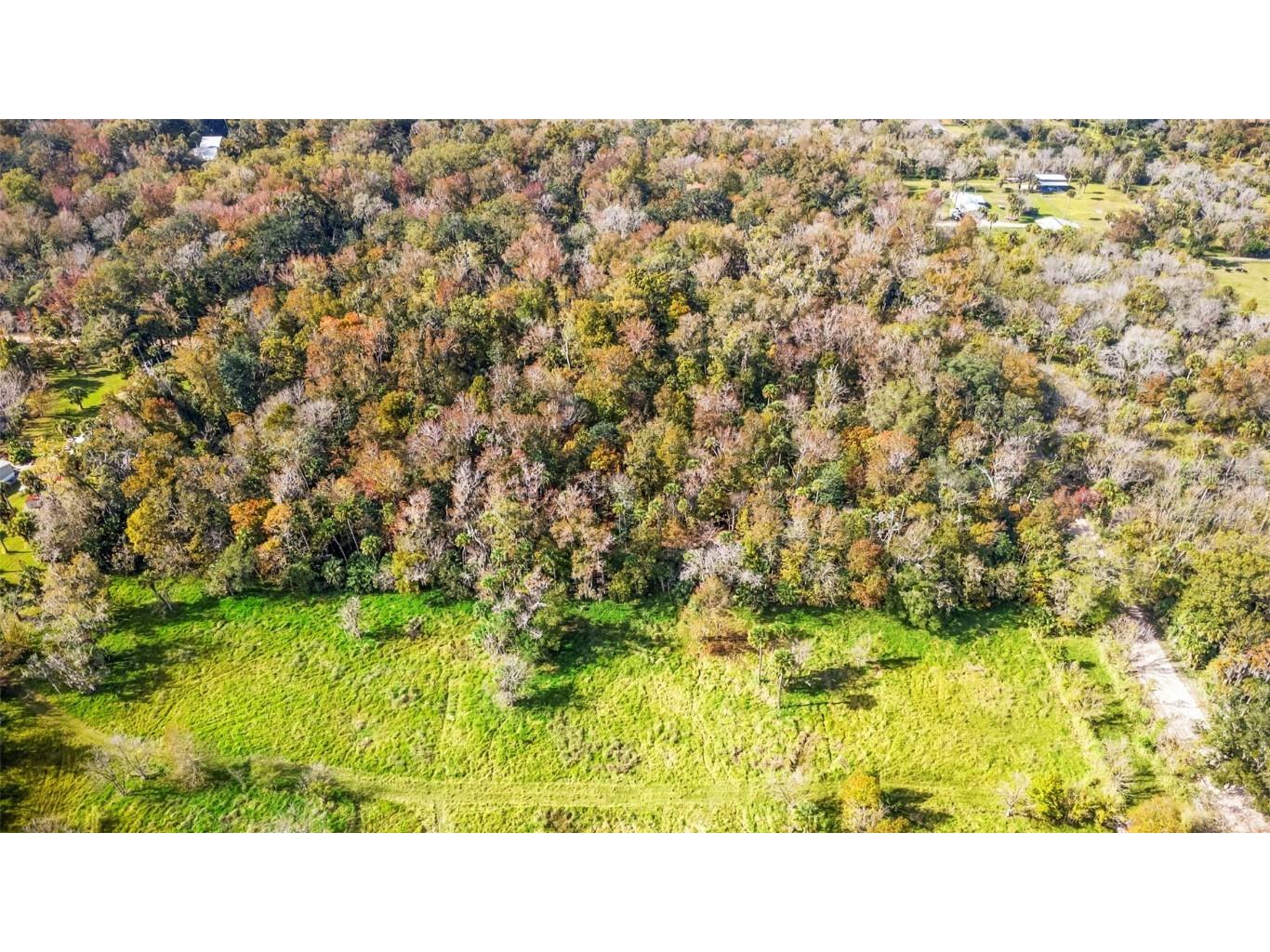 Volco Road Edgewater FL 32141 NS1085497 image11