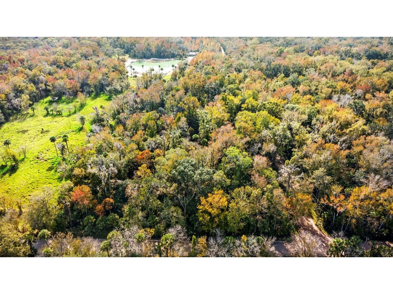 Volco Road Edgewater FL 32141 NS1085497 image15