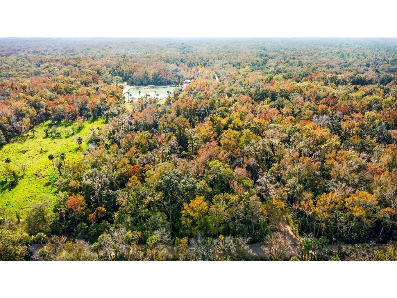 Volco Road Edgewater FL 32141 NS1085497 image16