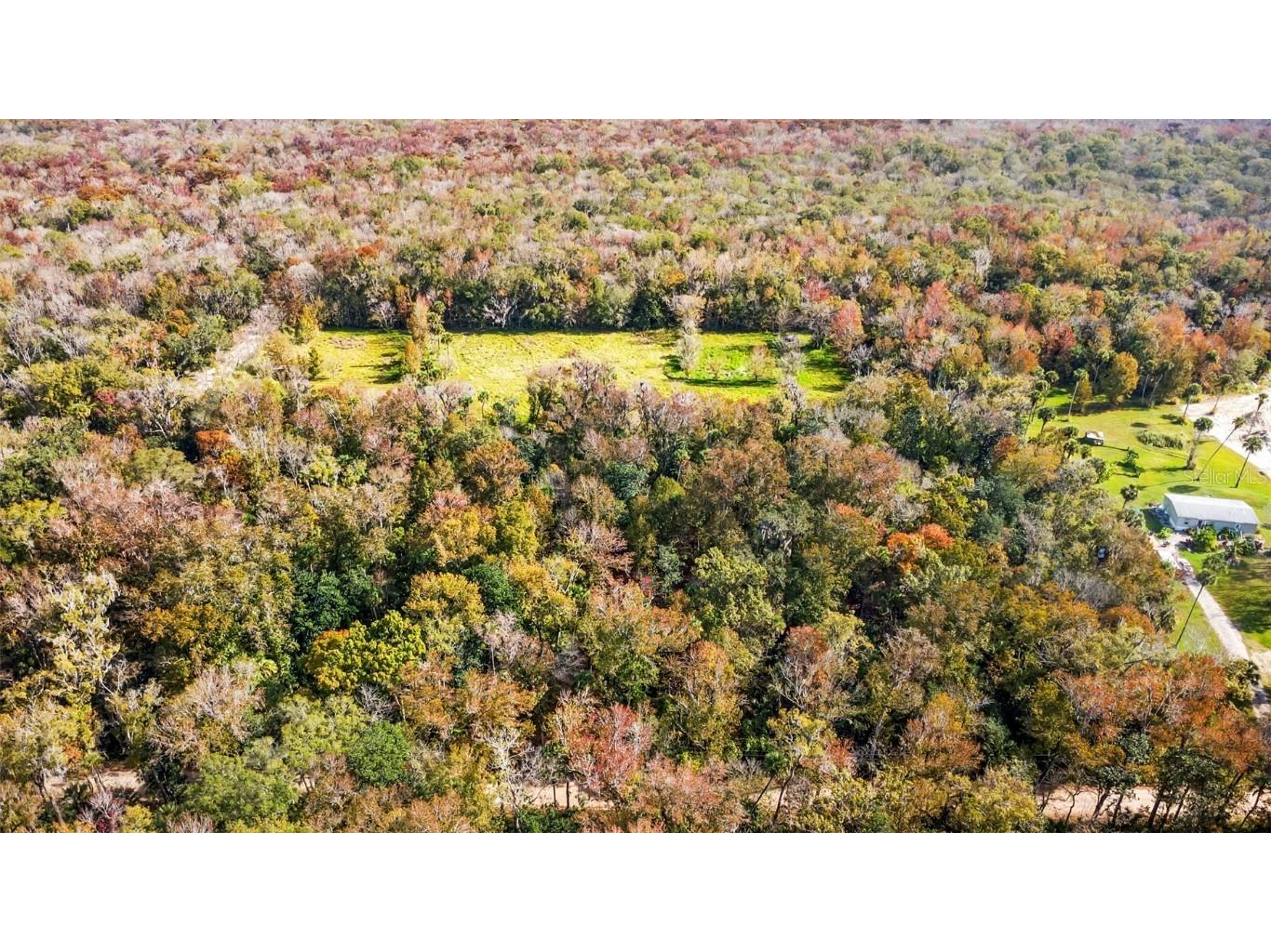 Volco Road Edgewater FL 32141 NS1085497 image6