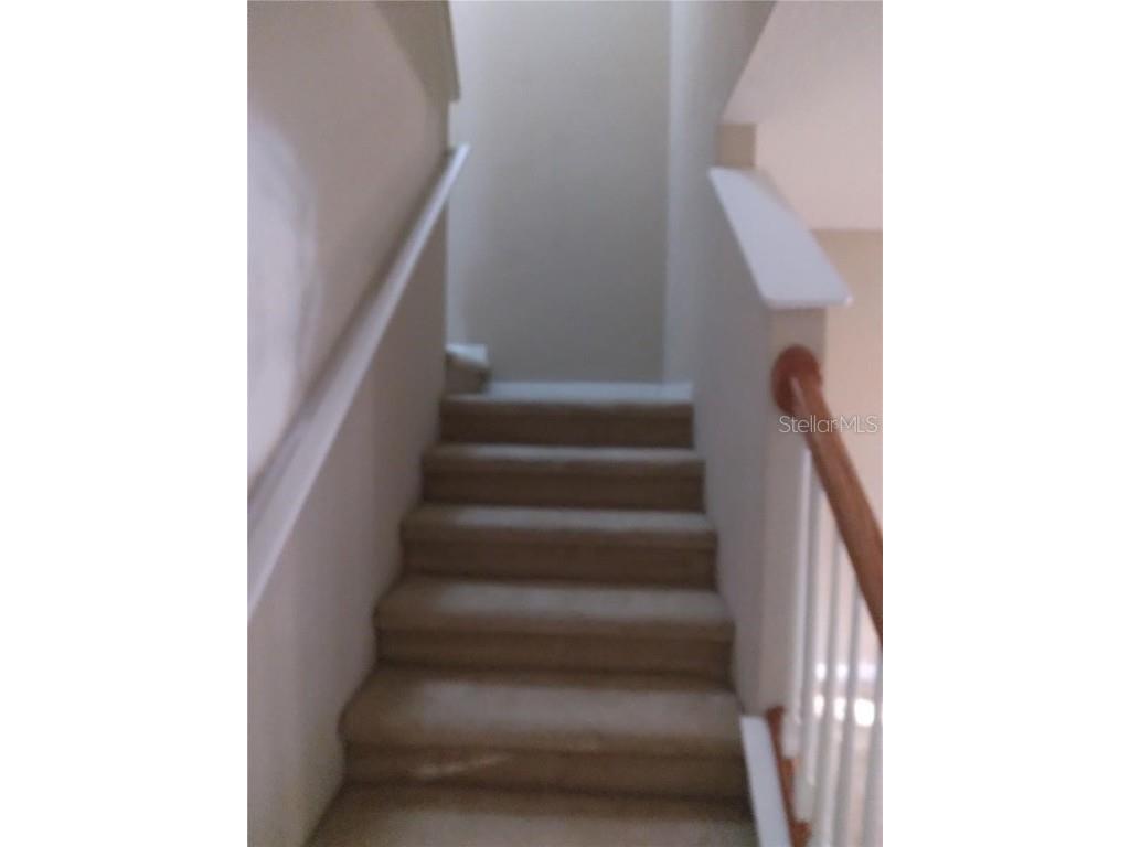  Valrico FL 33594 TB8453351 image15