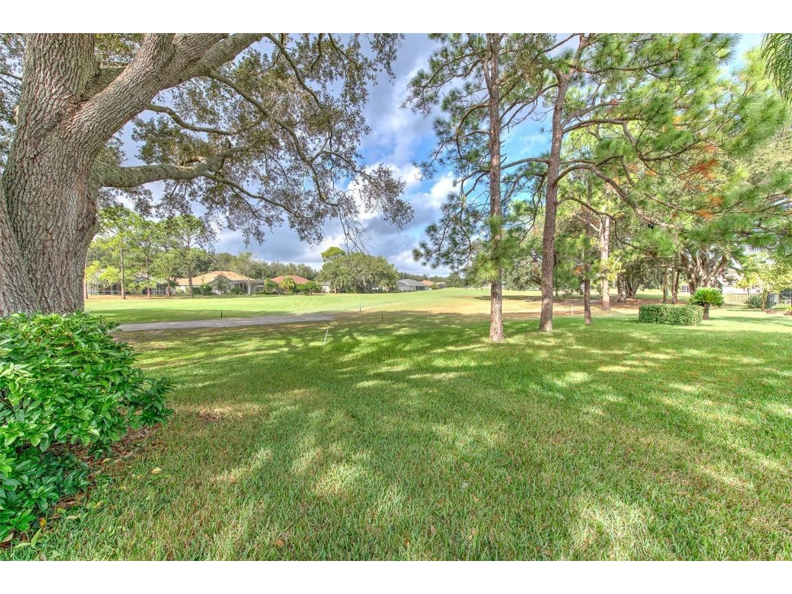  Valrico FL 33596 TB8455000 image34