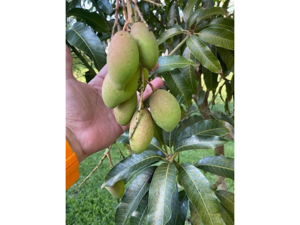  Vero Beach FL 32967 TB8408727 image22