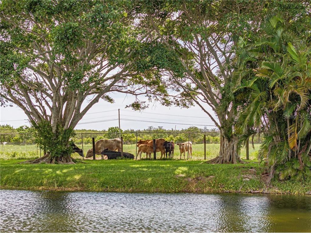  Vero Beach FL 32967 TB8408727 image32