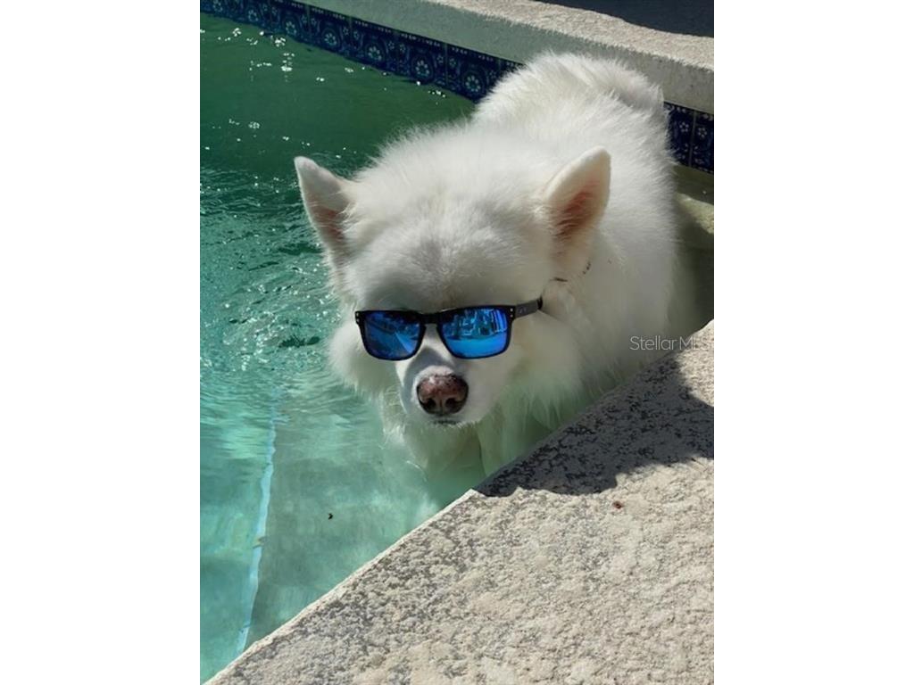  Vero Beach FL 32967 TB8408727 image36