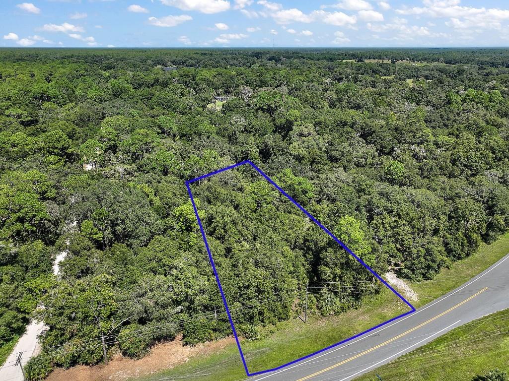 W 3rd Street Paisley FL 32767 V4928274 image1