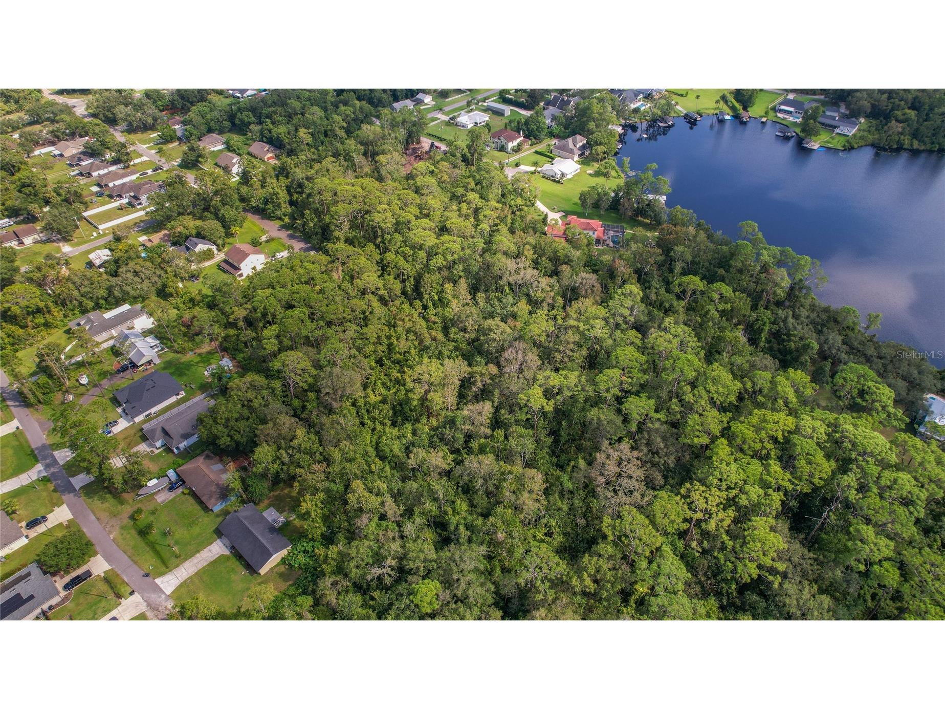 W 5th Street Chuluota FL 32766 O6392939 image6