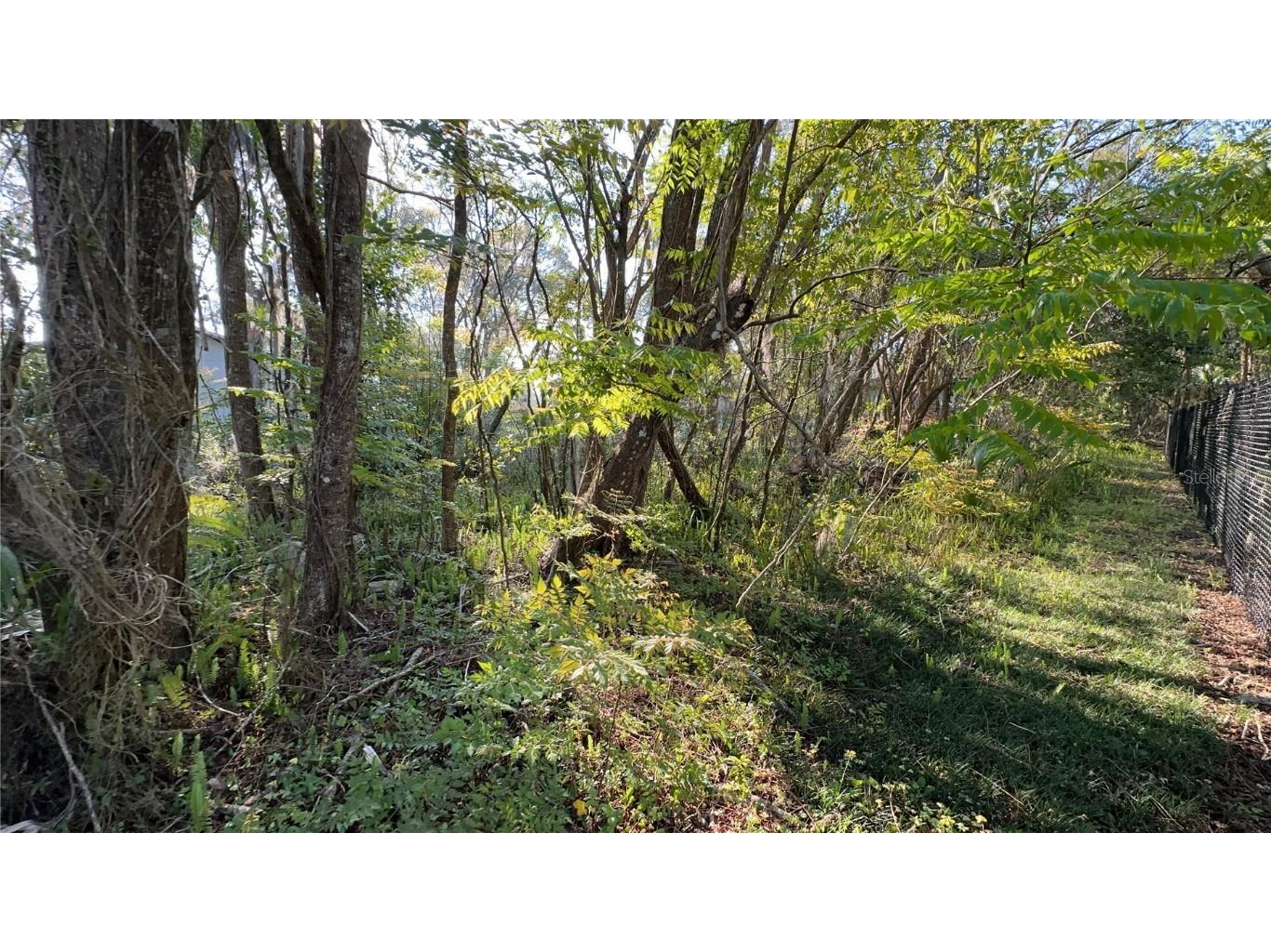 W Armstrong Avenue Deland FL 32720 V4929012 image1