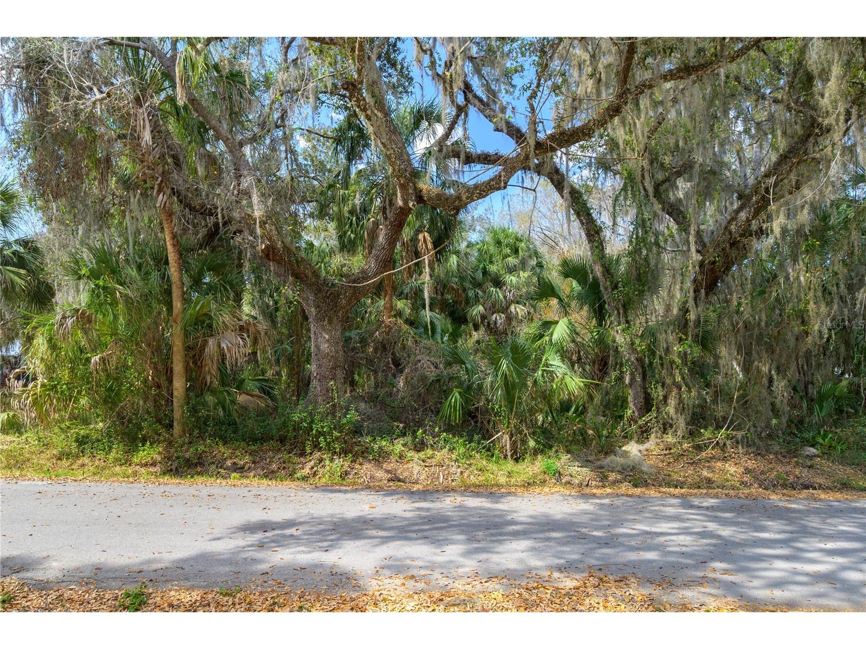 00 W Beach Parkway #0 Lake Wales FL 33898 P4937981 image2