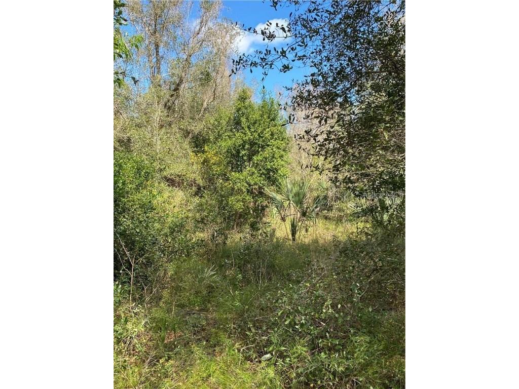 W Beresford Road Deland FL 32720 V4941057 image1