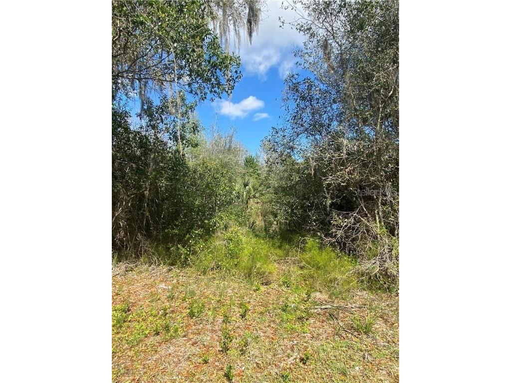 W Beresford Road Deland FL 32720 V4941057 image2