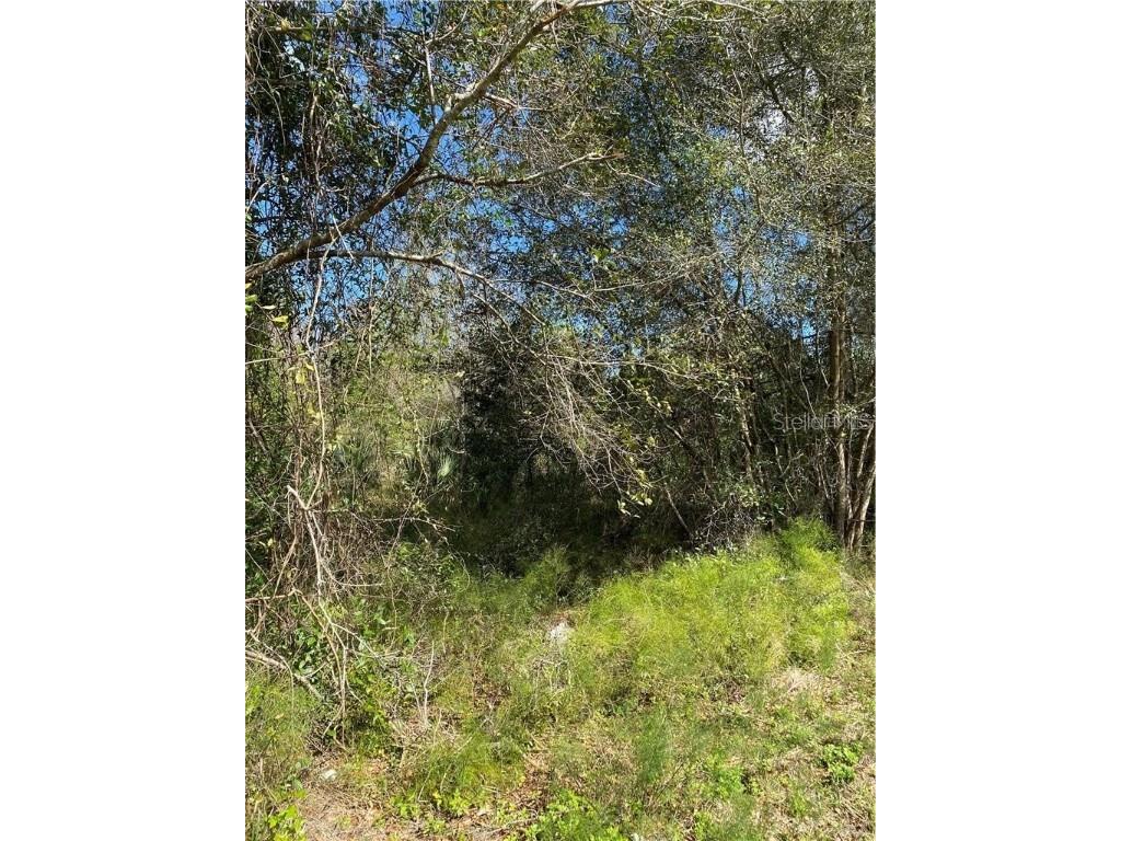 W Beresford Road Deland FL 32720 V4941057 image3