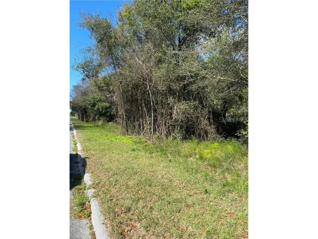 W Beresford Road Deland FL 32720 V4941057 image5