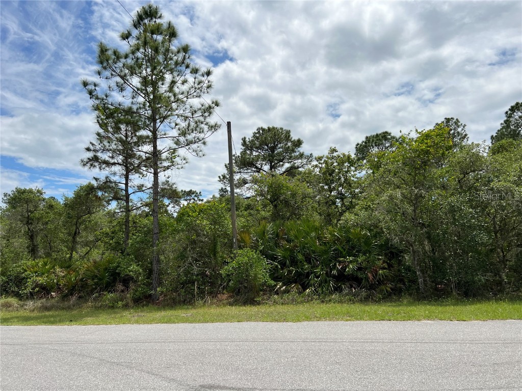 W Bluebell Avenue Eustis FL 32736 O6104335 image1