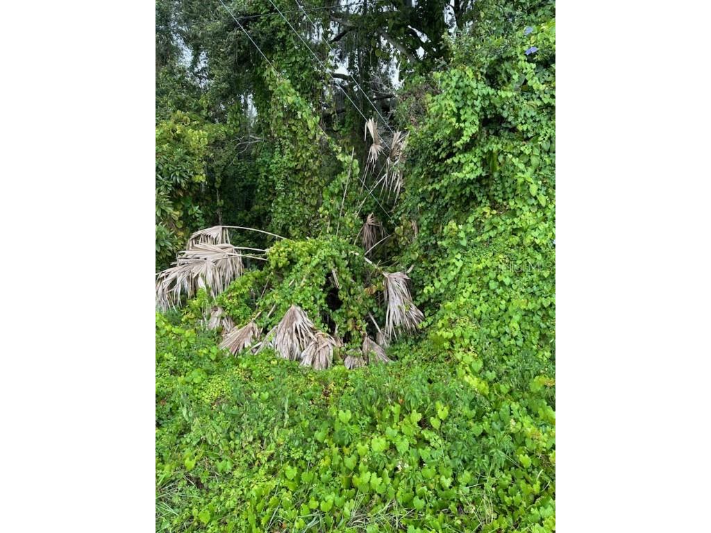 W Burleigh Boulevard Tavares FL 32778 G5088917 image1