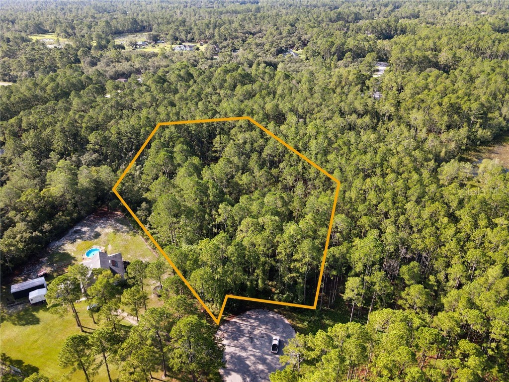 W Cashew Court Eustis FL 32736 O6051943 image1