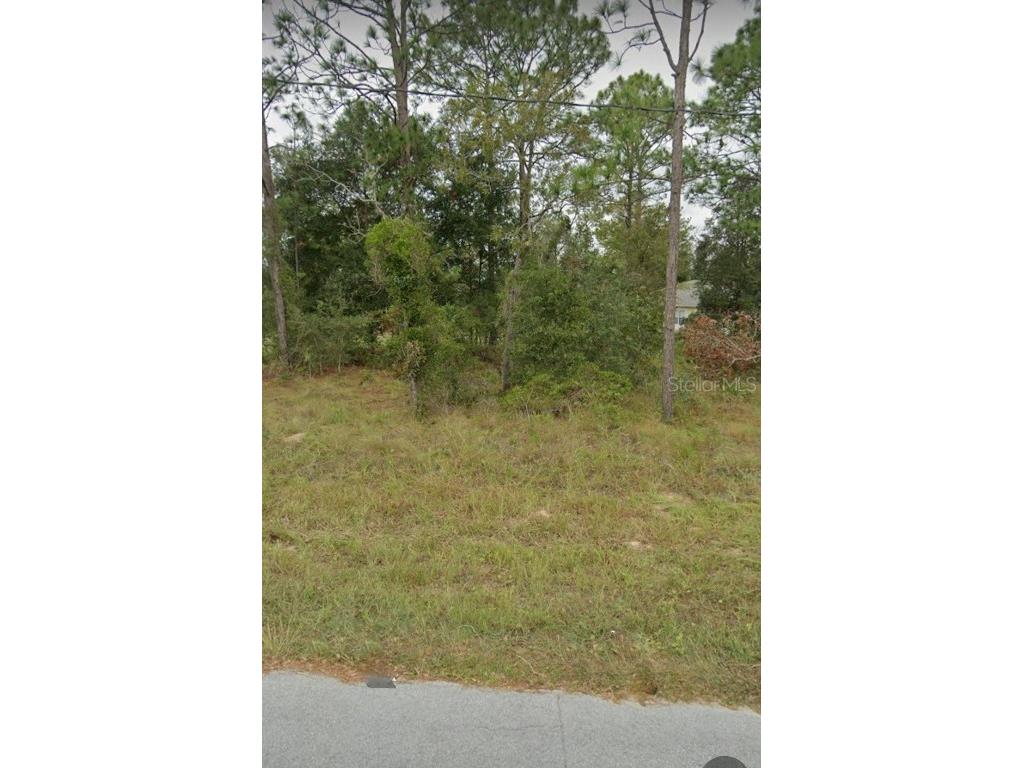 W Country Club Drive Williston FL 32696 OM691186 image13