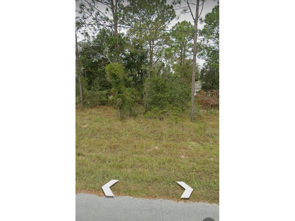 W Country Club Drive Williston FL 32696 OM691186 image15