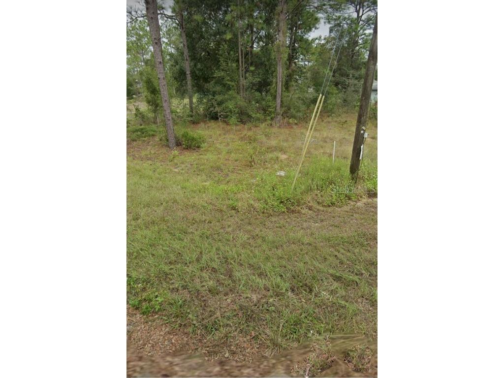 W Country Club Drive Williston FL 32696 OM691186 image8