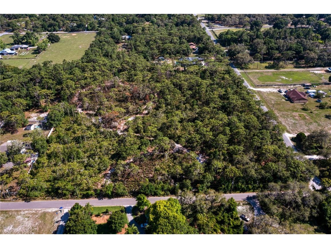 W County Line & Hiawatha Road Odessa FL 33556 T3447712 image1