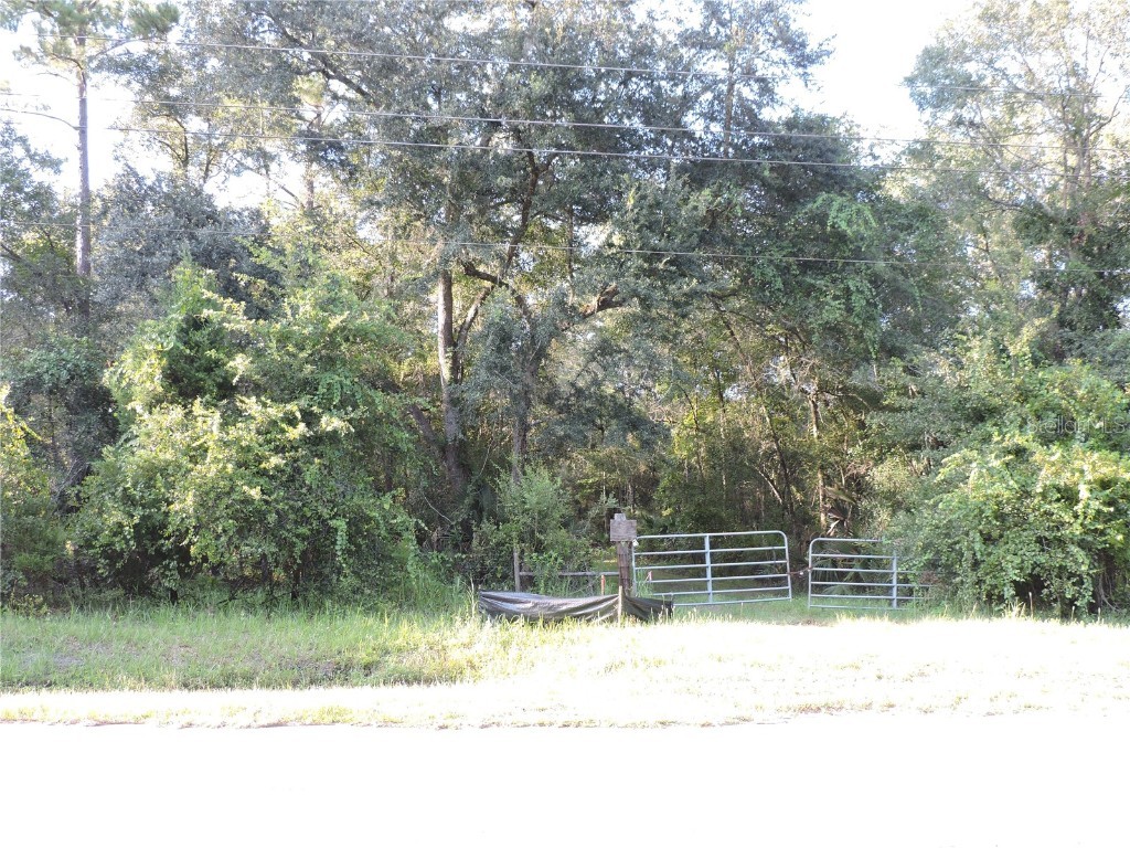 W County Road 2006 West W Bunnell FL 32110 FC293871 image2